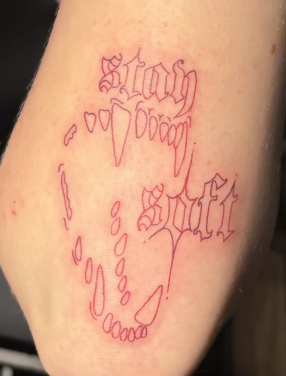 stay soft tattoo by Taetyn Panagos